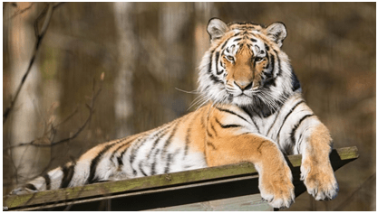 Решение рисунок 2