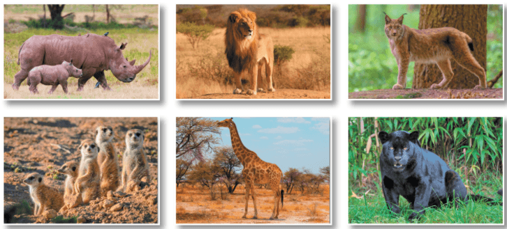 Задание рисунок 1