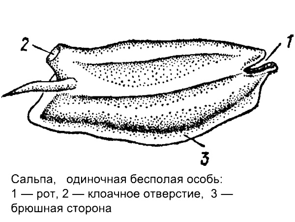 Решение рисунок 2