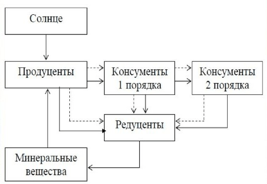 Решение рисунок 1